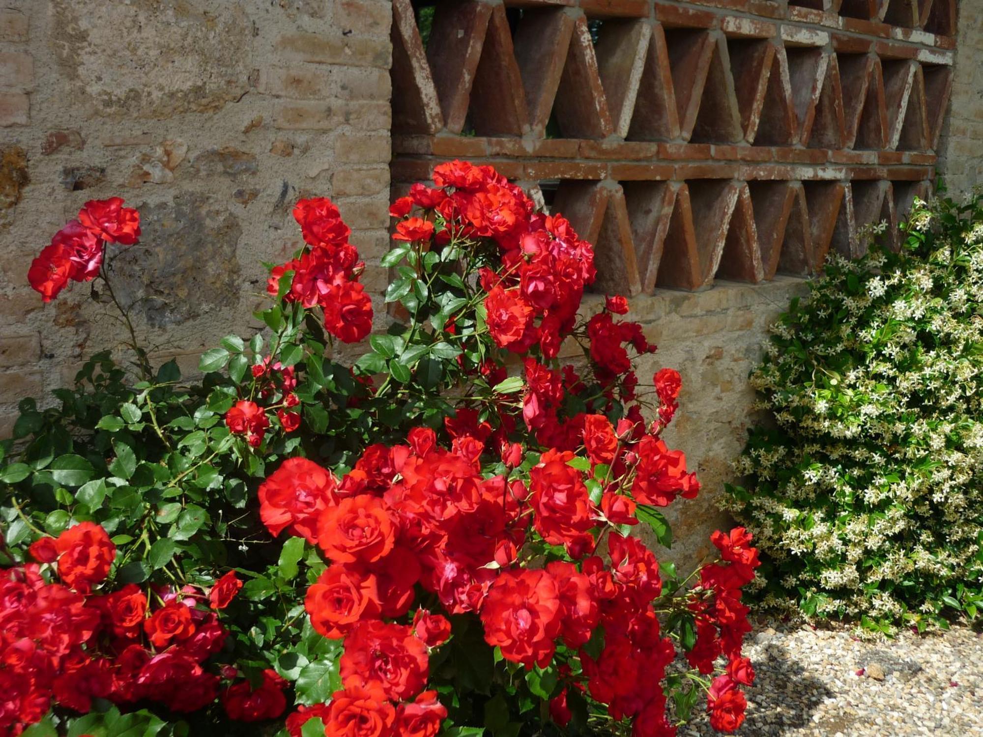 Fattoria Agriturismo Nerbona Villa Casole d'Elsa Exterior photo